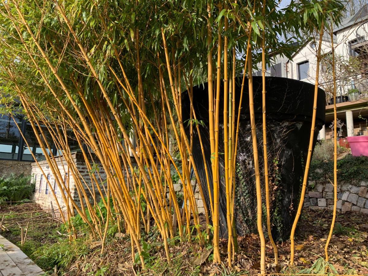 Rouen ECO STUDIOS Exterior foto